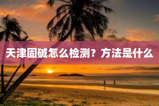 天津固碱怎么检测？方法是什么