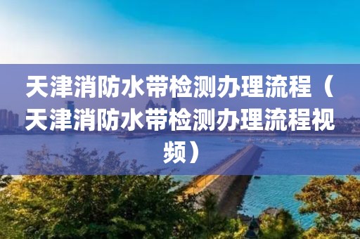 天津消防水带检测办理流程（天津消防水带检测办理流程视频）